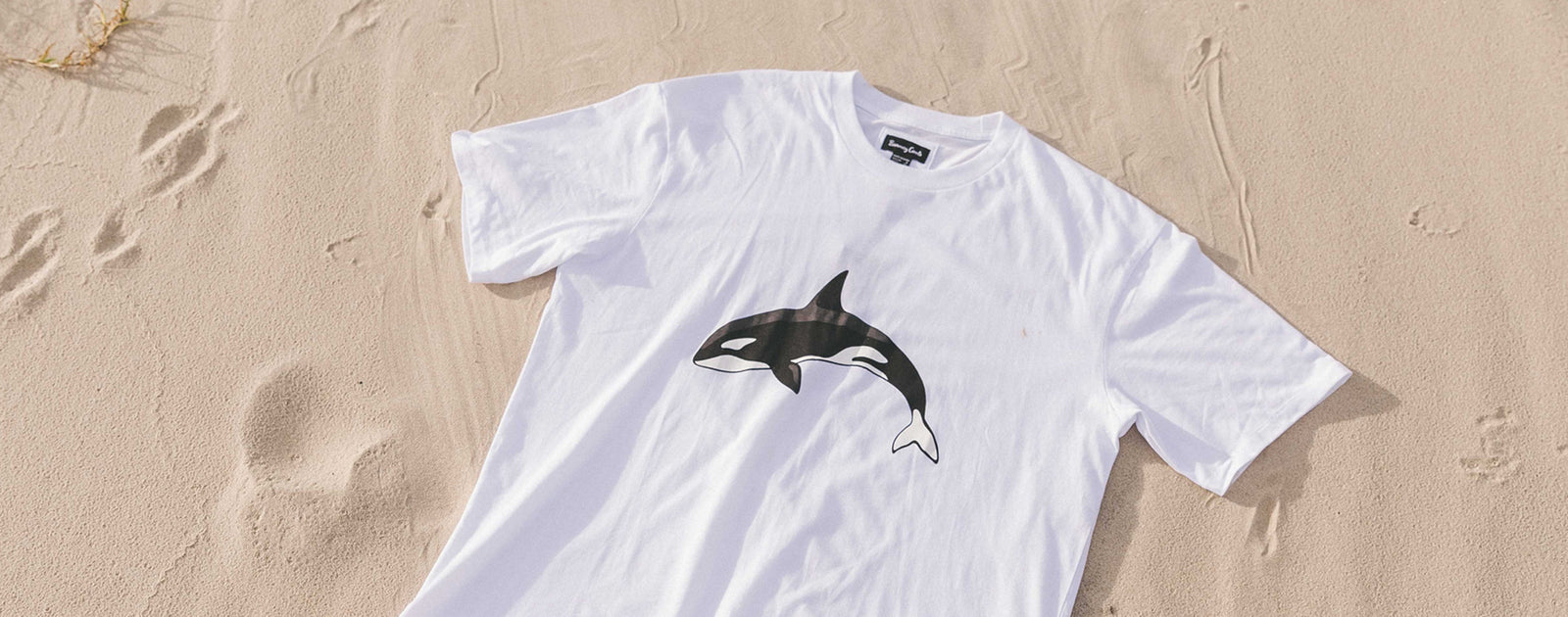 WORLD ORCA DAY!