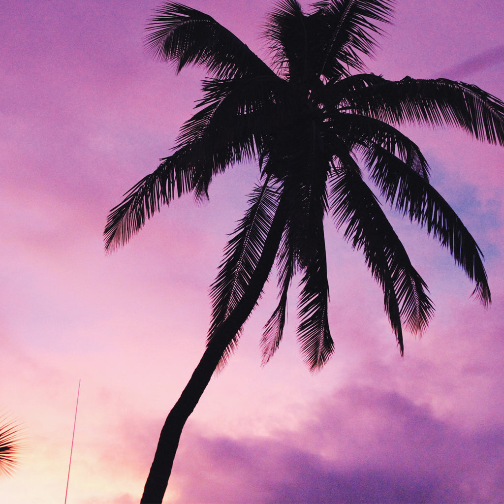 The Bali Guide