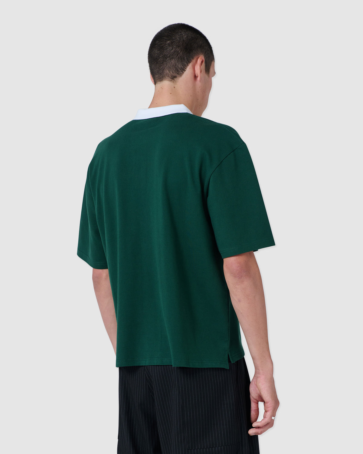 scribe polo forest